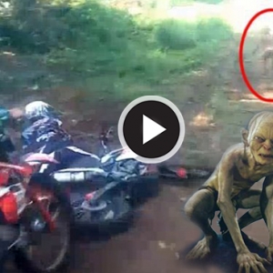 Heboh! Makhluk Aneh Seakan "Gollum" Ditemukan Di Hutan Aceh