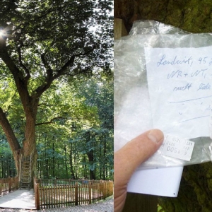 Baca Surat Dapat Jodoh,  Kunjungi Pokok Bridegroom's Oak Jerman Ini Dulu