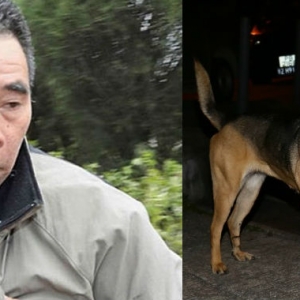 Seks Dengan Anjing, Lelaki Hong Kong Mengaku Bersalah
