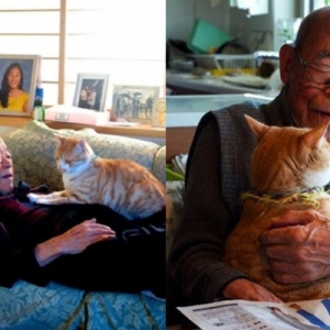 Cucu Hadiahkan Kucing, Datuk Yang Murung Hampir 10 Tahun Kembali Ceria