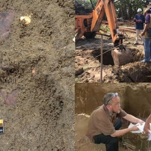 Rangka 'Seberang Perai Man' Berusia 6,000 Tahun Ditemui Arkeologi USM