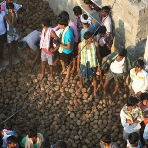 Tradisi Unik Di India, Pertempuran Kek Najis Lembu Yang Epik!