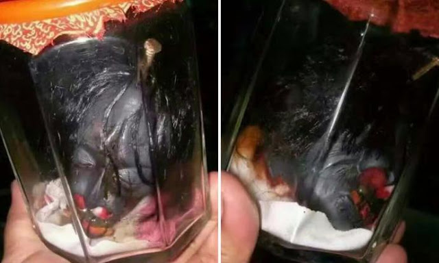 5600 Koleksi Gambar Hantu Kepala Potel HD Terbaru