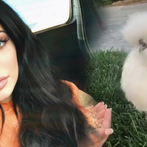 Hobi Yang Pelik, Kylie Jenner Kini Jadi 'Ibu Ayam'