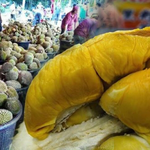 Khas Buat "Hantu Durian", Pesta Lelongan Durian Besar-Besaran Akan Bermula 6-7 Mei Ini