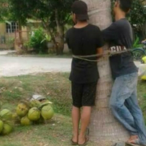 'Syok' Curi Kelapa, Dua Lelaki Diikat Di Pokok Oleh Orang Kampung