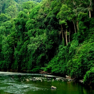 14 Penduduk Dilaporkan Hilang Dalam Hutan Lahad Datu Telah Berjaya Ditemui