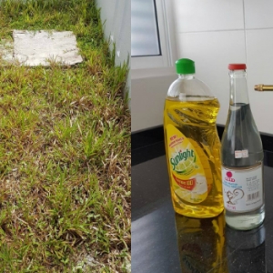 Hapuskan Rumput Liar Di Laman Dengan Guna 2 Bahan Ini Sahaja