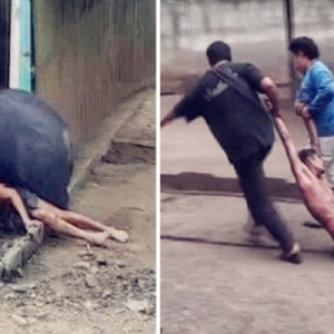 Mengacah Makanan Dgn Niat Bermain, Lelaki Terima Padah Dibaham Beruang