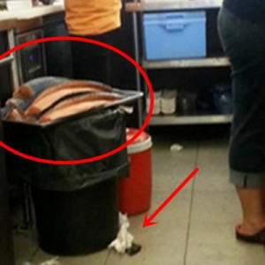 Isu Ikan Salmon Atas Tong Sampah: Cawangan Restoran Sushi Terbabit Diarah Tutup