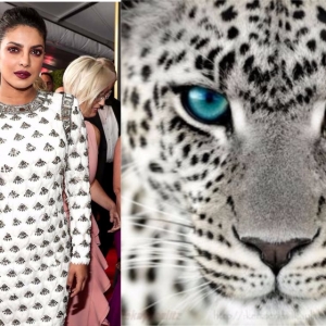 Macam Harimau Bintang Salji! - Netizen Kutuk Gaun Priyanka Chopra