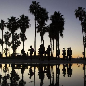 Sedih! Tiada Lagi Pokok Palma, Mercu Tanda Los Angeles Selepas Ini...