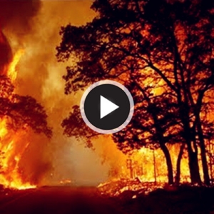 Kebakaran Hutan Di Utara California: 10 Maut, 20 Ribu Orang Diarah Pindah