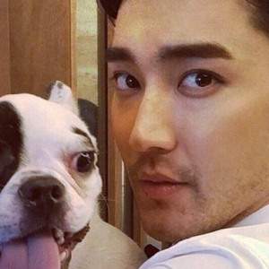 Anjing Gigit Jiran Sampai Mati, Siwon Super Junior Mohon Maaf