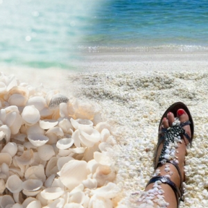 Ayuh Bercanda Di Tepian Pantai, Shell Beach Australia Diselimuti Jutaan Cengkerang