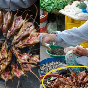 Pembedahan Plastik, Jamu Tak Layan! Wanita Vietnam Makan Tikus Untuk Awet Muda