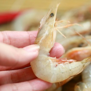 Buang Najis Udang Tanpa Kupas Kulit, Mesti Anda Tak Tahu Cara Ini Kan?