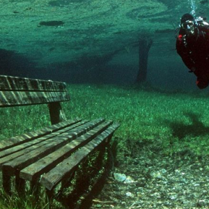 Gruener See, Taman Di Dasar Danau Yang Indah Dan Memukau!