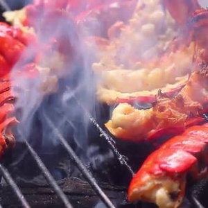 Switzerland Larang Masak Udang Kara Hidup-Hidup Kerana Ia Mempunyai Perasaan Sakit..