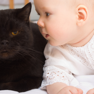 Aik, Betul Ke Kucing Bantu Lindungi Bayi Baru Lahir Dari Asma?