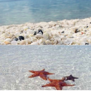 Pantai 'Rare' - Boleh Sampai Tersepak Cangkerang Dan Tapak Sulaiman Gamaknya..