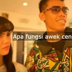 Apa Fungsi Perempuan Ni?-Netizen Kecam Penampilan Awek Cendol Dalam Video Muzik Artis