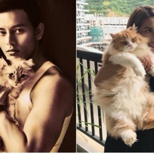 Kucing Pun Ada IG? - 8 Selebriti Ini Buat Apa Sahaja Tanda Sayang