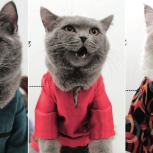 Amboi, Tak Mahu Kalah! Kucing Pun Nak Beraya Juga. Ini Koleksi Baju Raya Untuk Si Bulus