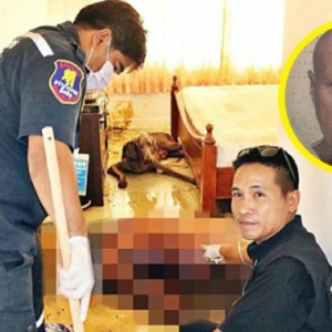 Tubuh Dikunyah Hingga Ke Tulang, Anjing Makan Mayat Tuan Sendiri