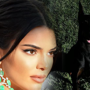 Kendall Jenner 'Cabut Lari' Lepas Anjing Peliharaan Gigit Kanak-kanak