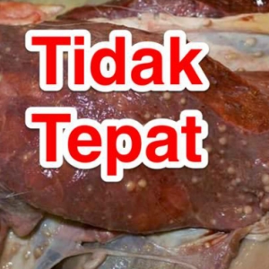 Tular Daging Gelembung Putih Dijangkiti Kuman, Doktor Sahkan Tidak Benar