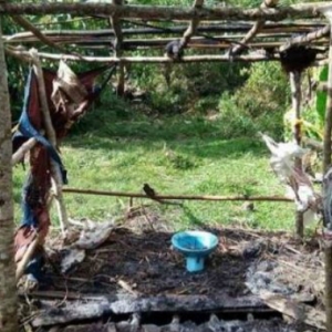 Tak Makan Tak Tidur Tiga Hari Sebelum Bakar Ibu Sendiri