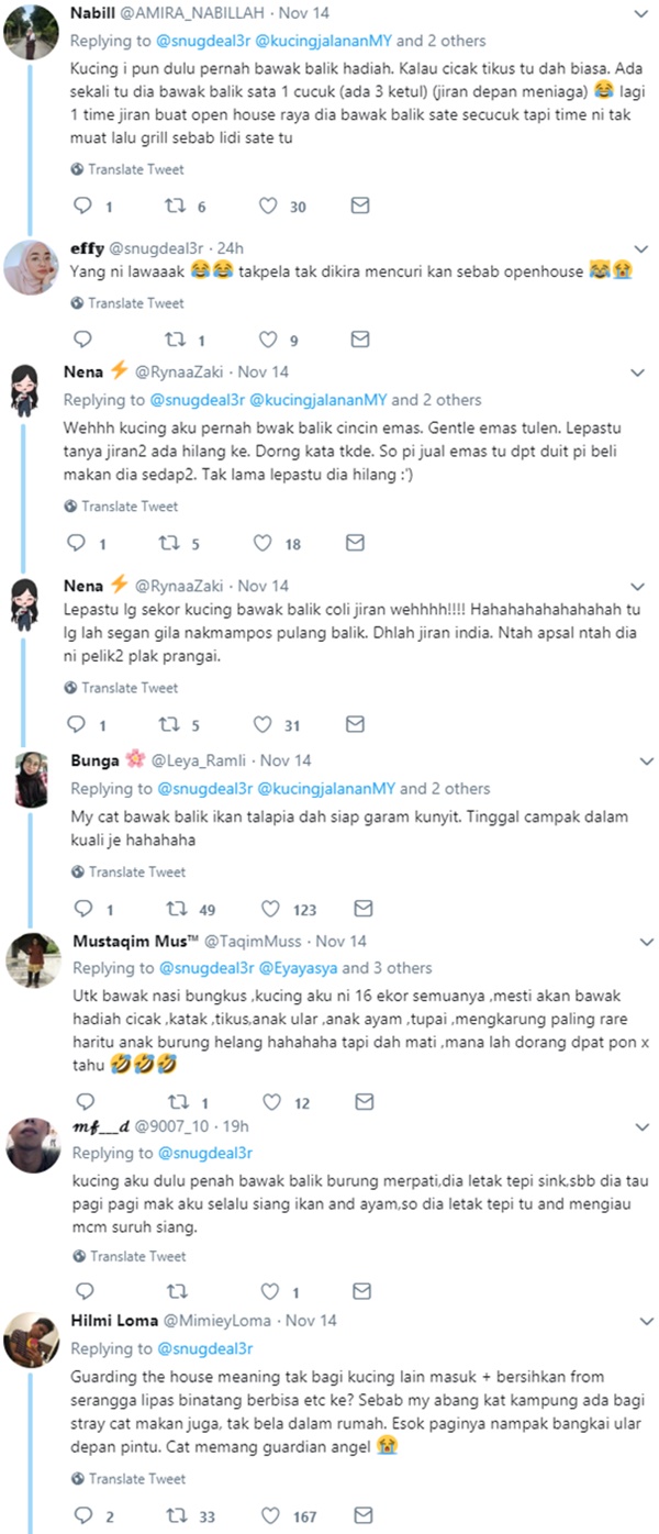 Kucing Jalanan Buat Surprise , Bagi Hadiah Nasi Bungkus Kepada 