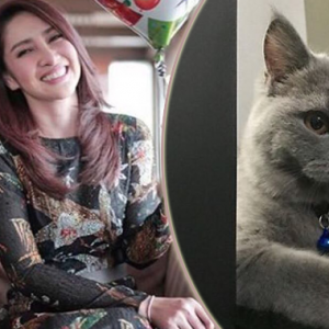 Buat Laporan Polis Kucing Hilang, Rita Rudaini Nak Heret Pesalah Ke Muka Pengadilan