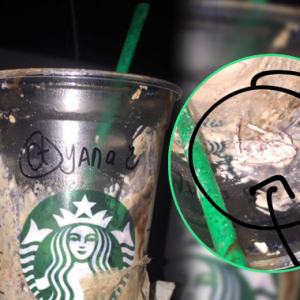 FrappuLipas? Frappuccino Kan Air Blend, Netizen Pelik Kenapa Lipas Tak Hancur Sekali