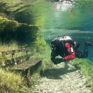 Berenang Dalam Taman, Green Lake Di Austria Yang Begitu Unik Dan Menakjubkan