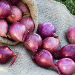 Hentikanlah 'Membawang', Lagi Elok Kalau Kita Lebihkan Makan Bawang Pula