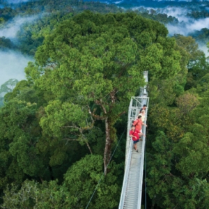 Apa Istimewanya Brunei Darussalam? 7 Perkara Menarik Yang Anda Boleh Buat Di Negara Kecil Ini