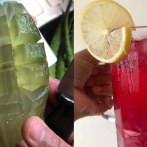 Ada Pokok Aloe Vera Di Rumah? Cuba Resipi Ala Nata De Coco Ini, Fresh Dan Mudah!