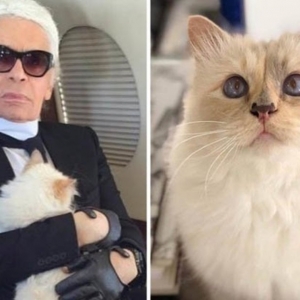 Mendiang Karl Lagerfeld Wariskan Jutaan Dollar Kepada Kucing Dikatakan Jelmaan Ibunya