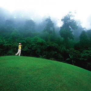 Mengapa Borneo Highland Antara Tempat Tercantik Di Malaysia? Ini Sebabnya..