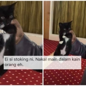 Gara-gara Kucing Comel Ini, Surau Keluar Notis Nasihat Jemaah Pakai 'Spender'