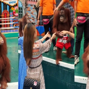 Aksi Peluk Cium Ruhainies Dengan Orang Utan Jadi Bualan Lucah