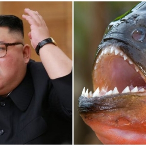 "Rasakan Katanya!" - Jong-un Campak Jeneral Dalam Kolam Piranha