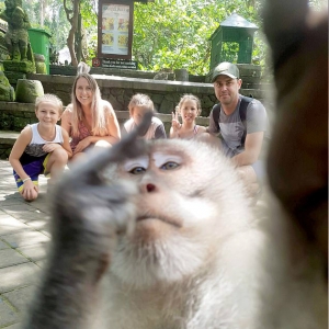 Lucu! Monyet Selfie Sambil Tunjuk Jari Tengah, Siapa Ajar Tu?