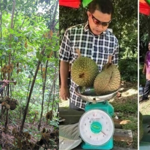 "Orang Kita Tau Nak Murah Ja, Nak Jaga Durian Sampai Jatuh Tu Bukan Senang"