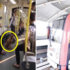 Insiden Anjing Naik Tren LRT, Ini Penjelasan Rapid Rail