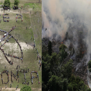 Siang Seperti Malam - Hutan Amazon Terbakar Teruk