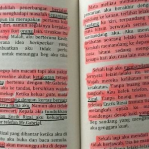 Penulis Novel Bengang Karya Diciplak Sampai Diulang Cetak