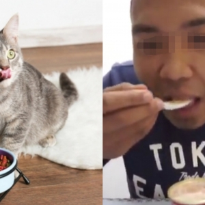 "Rasanya Sama Macam Tuna Biasa, Cuma Bau Kurang Menyelerakan" - Review Makanan Kucing Jadi Trend?